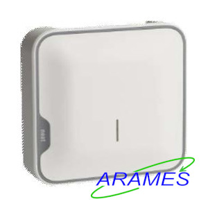 NE1019008 - Borne de couverture radio pour système avec serveur D-SERVER